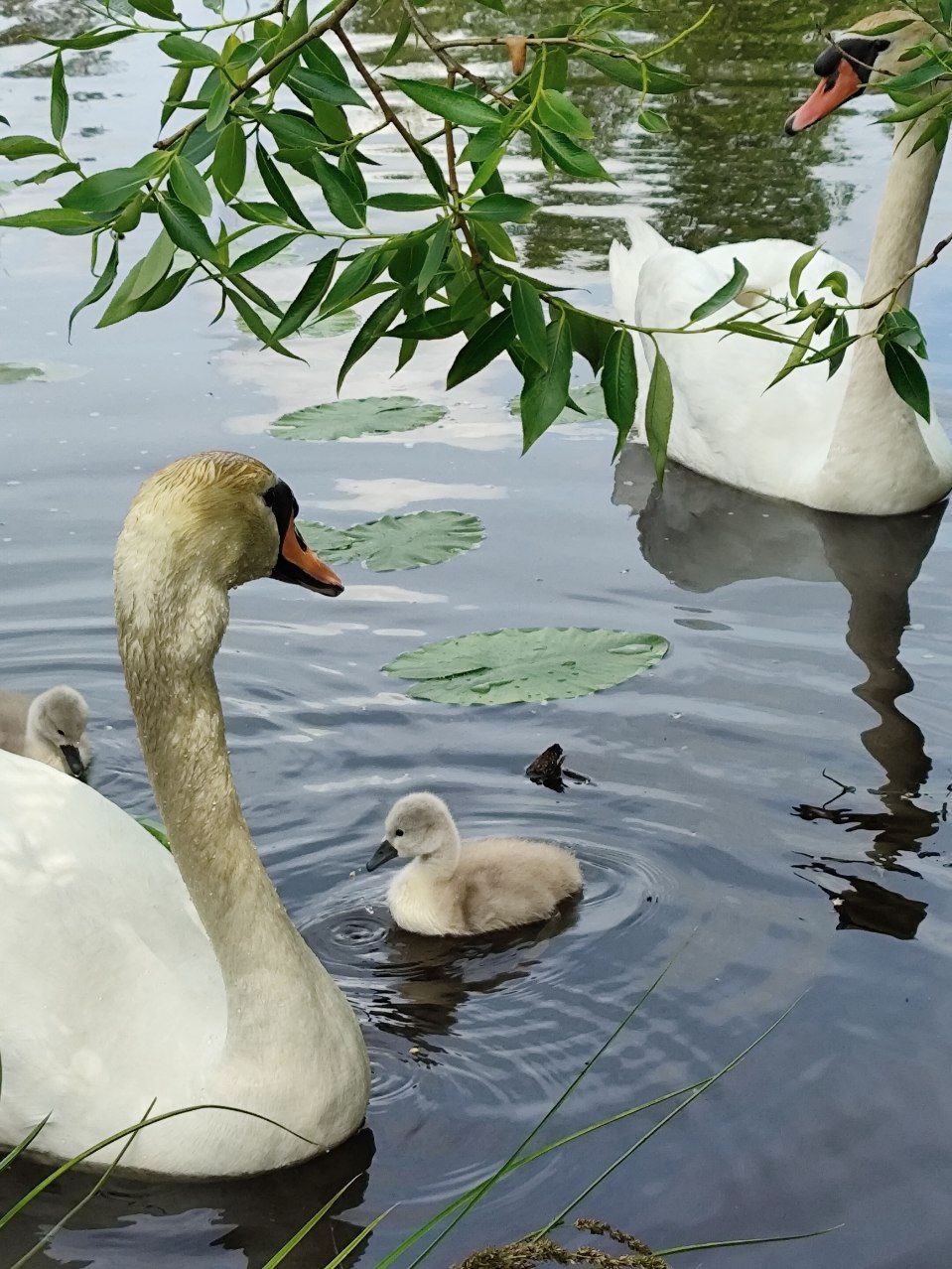 Фото экотропы 1