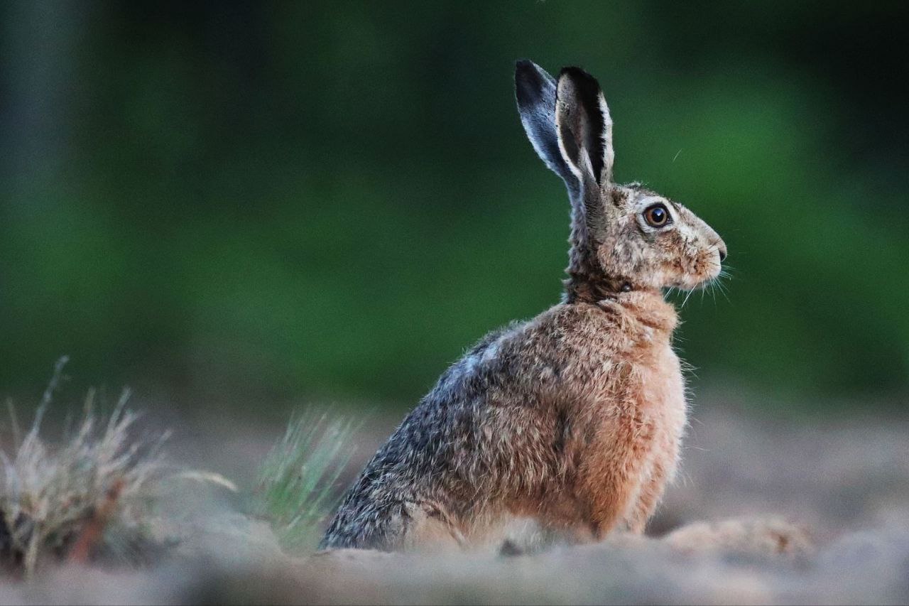 Фото экотропы 3