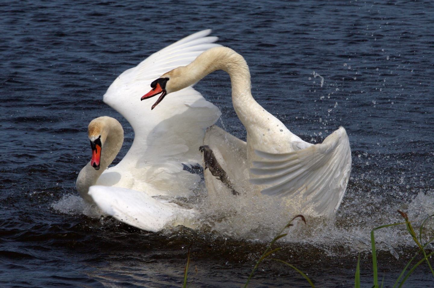 Фото экотропы 4