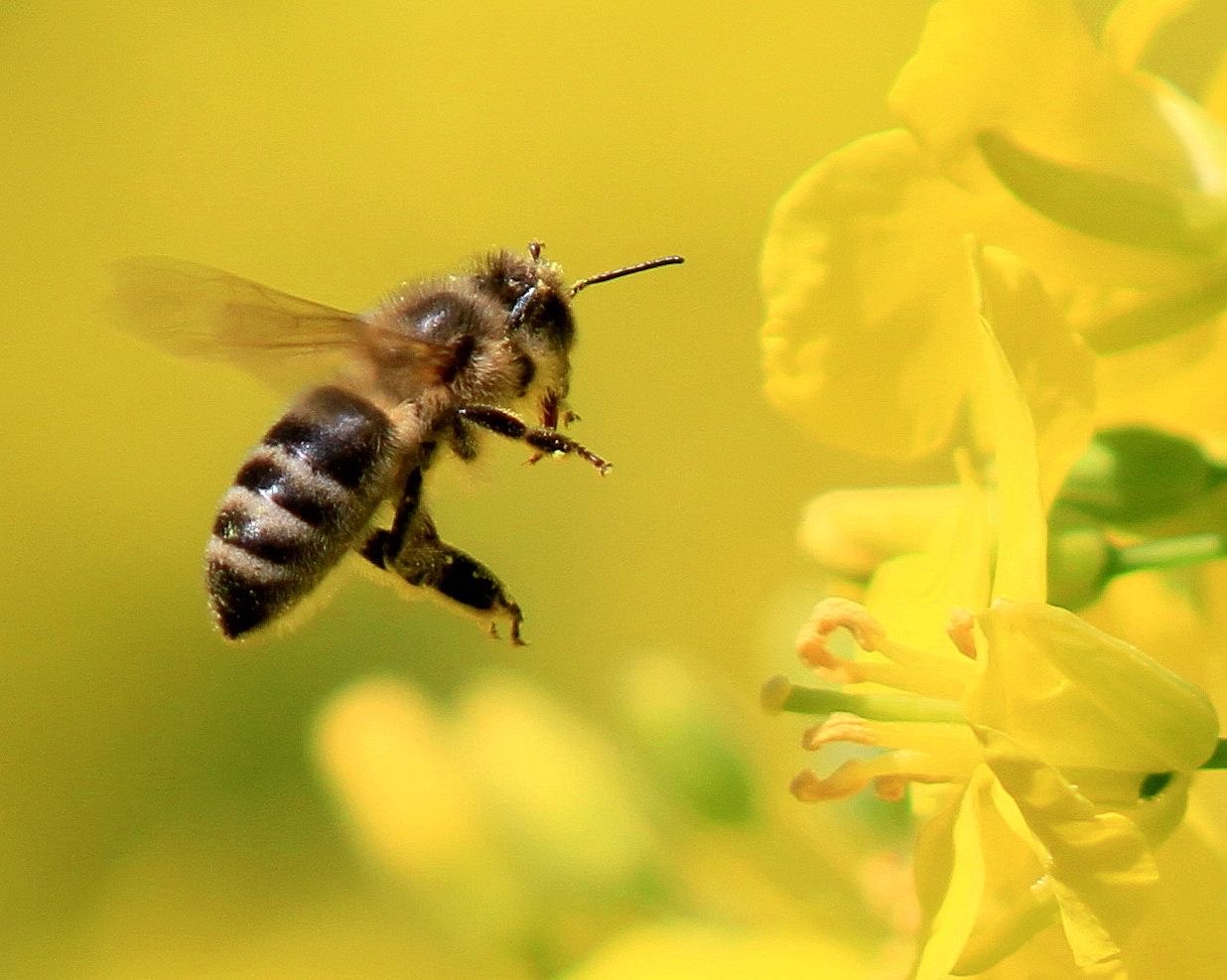 Фото экотропы 5