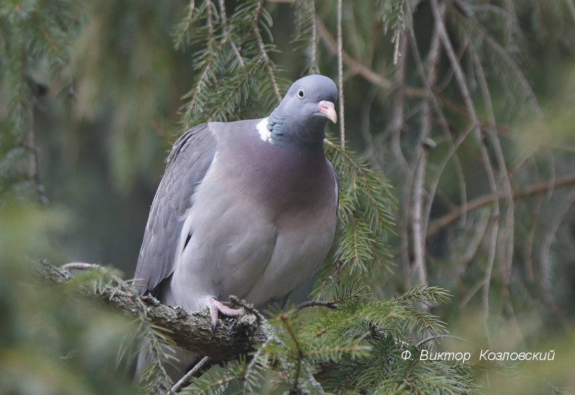 Фото экотропы 6