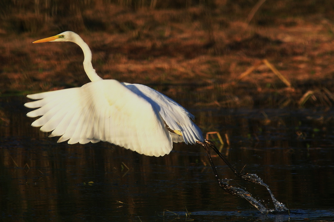 Фото экотропы 7