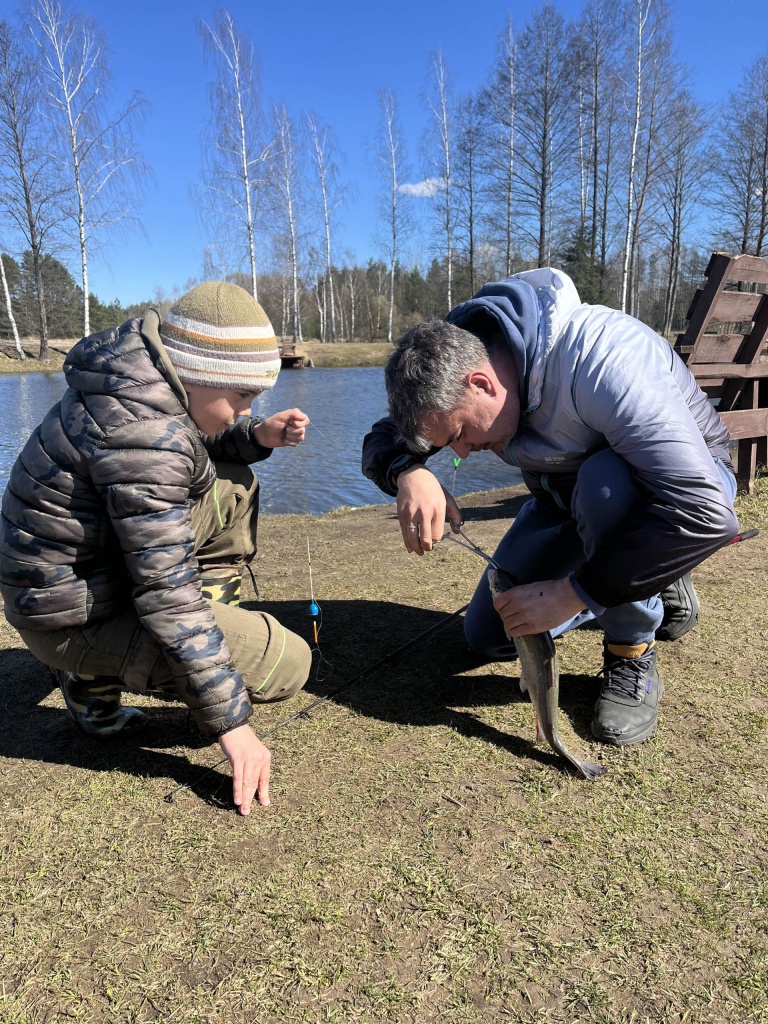 Описание картинки